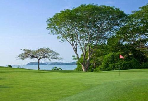 Apartamento Tropical Haven Large Oceanview Apt With Pool B3317