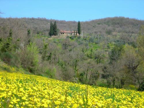 Agroturismo Allegro Agriturismo Argiano