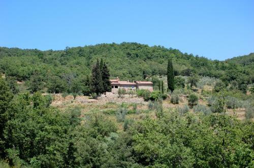 Agroturismo Allegro Agriturismo Argiano