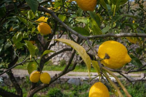 Bed & Breakfast Mezzabrino Vista Castello