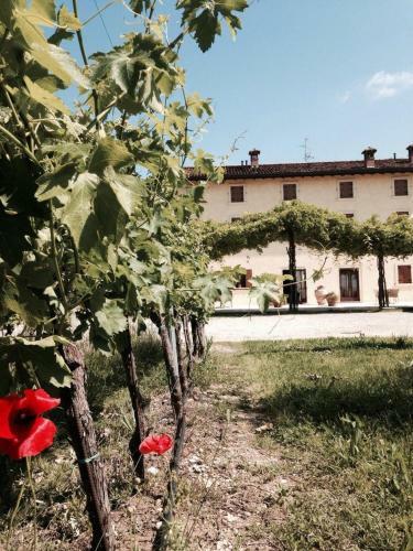 Agroturismo Dimora Del Bugiardo