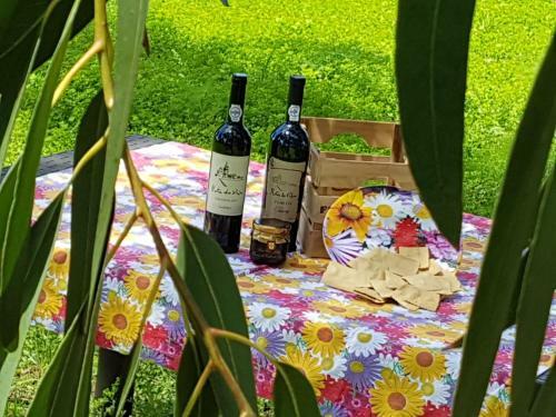 Rota Da Vila-quinta Das R�s