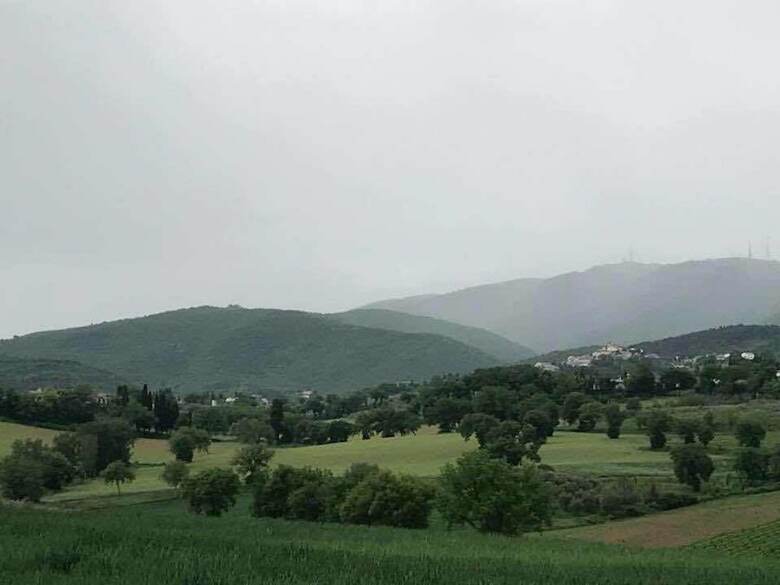 Agroturismo Agriturismo Colleciglio