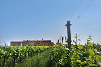 Agroturismo Agriturismo Dei Grippi