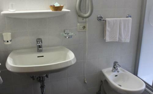 Hotel Albergo Alisander