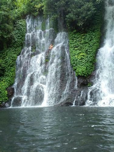 Ijen Kingdom Guest House