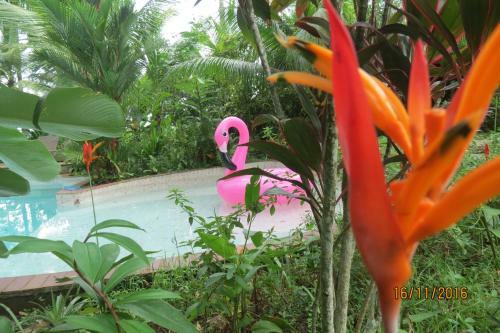 Bed & Breakfast Monkey Lodge Panama