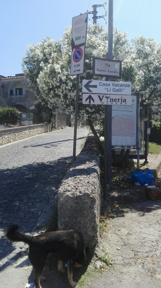 Apartamento Casa Vacanze Li Galli