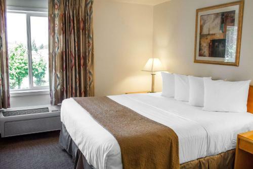 Hotel Quality Inn & Suites Longview