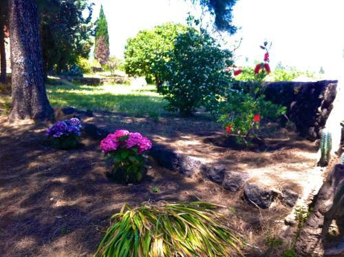 Apartamento Villa Bonaccorso
