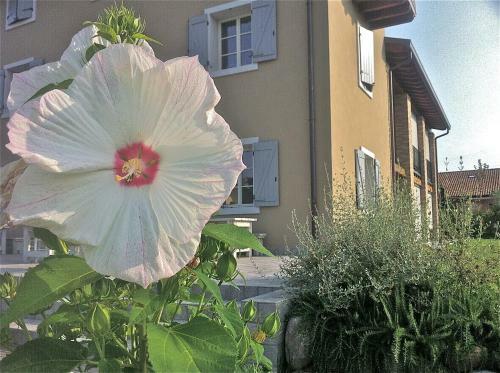 Bed & Breakfast Biancaleo