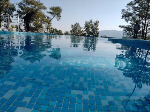 Bed & Breakfast Odyssey's Umbir Resort And Caf�