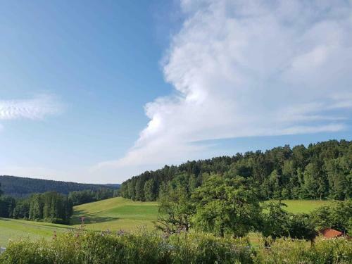 Apartamento Zirbenholzwohnung Lochau