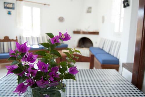 Panormos Villa Tinos Greece - Traditional House
