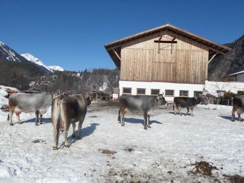 Apartamento Honzarhof