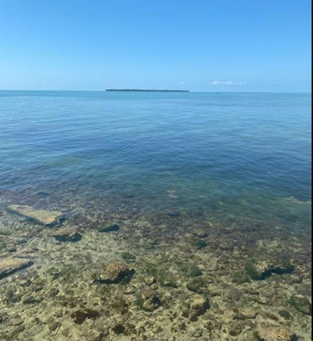 Apartamento Drift Away - Beautifully Designed Oceanfront Condo