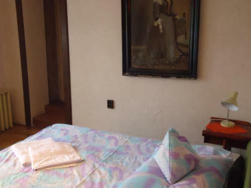 Hostal Cola Panzi�