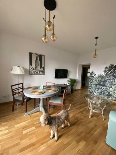 Apartament Las