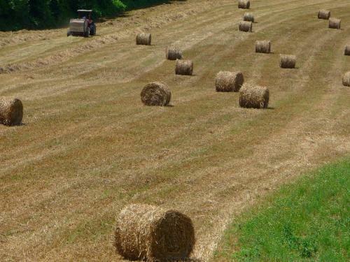 Agroturismo Holiday Home Da Vinci Tre Vinci
