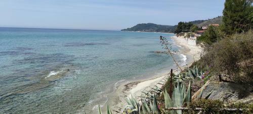 Groundfloor Apartment In Mola