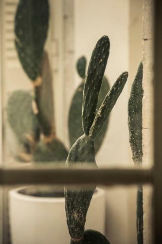 Apartamento Casa Pietramare