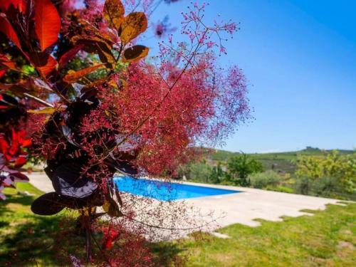 Premium Villa In Carrazeda De Ansia With Views