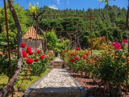 Premium Villa In Carrazeda De Ansia With Views