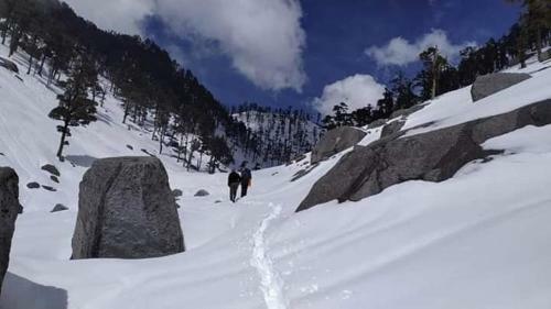 La Vie En Rose - Himachal