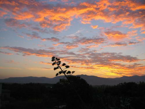 Village & Camping La Foce