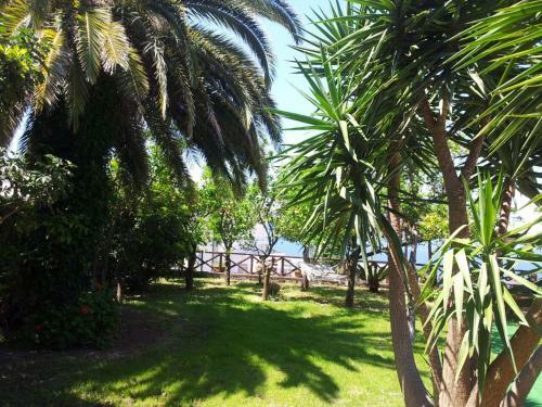 Villa Tessa's Holiday