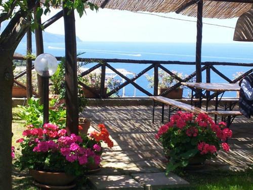 Villa Tessa's Holiday