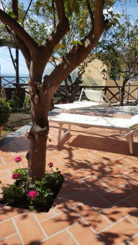 Villa Tessa's Holiday