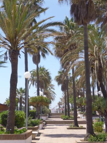 Apartamento Residencial Duquesa 2075