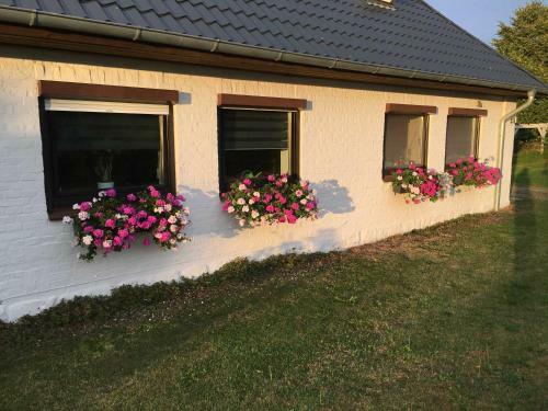 Apartamento Fewo Altharmhorst