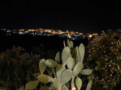 Casa Vacanze Il Primo Fiore