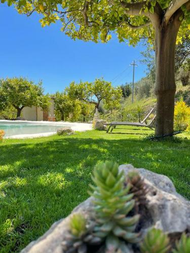 Casa Vacanze Il Primo Fiore