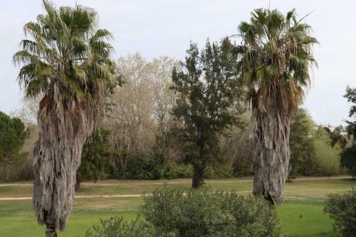 Apartamento Blue Oliva Nova Met & Golf