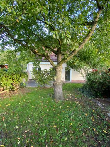 Ferienhaus Spreewald