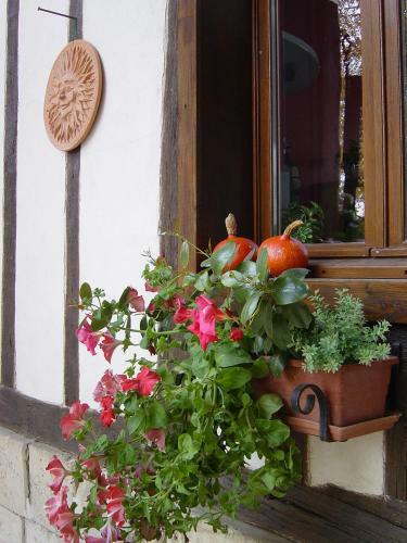 Agroturismo La Pinsonni�re