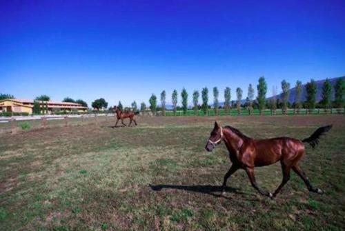 Hotel Il Baio Relais & Natural Spa