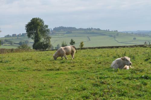 Bed & Breakfast Escale En Charolais Brionnais