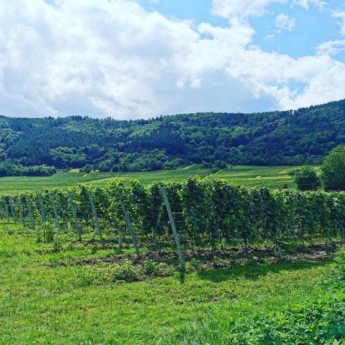 Hausboot Mosel