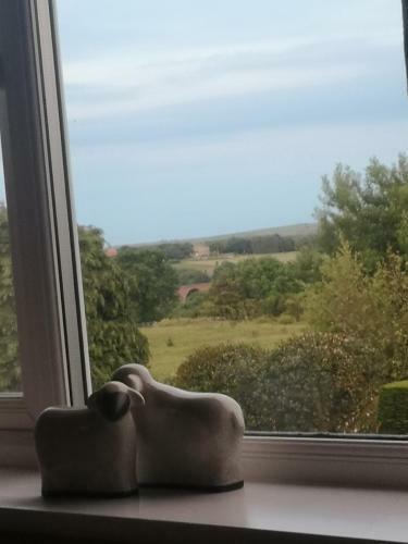 Hostal Greystones Guesthouse