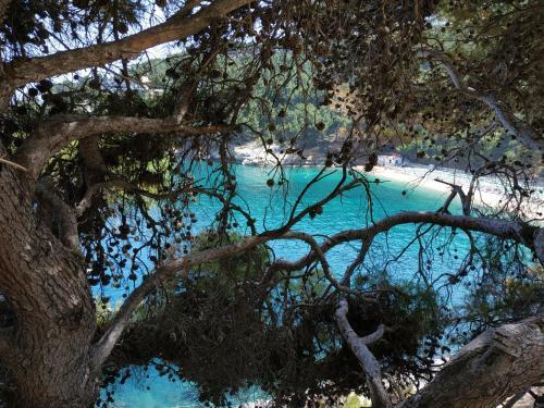 Apartamento Villetta Le Macine 23- Pugnochiuso Resort