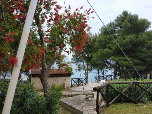 Apartamento Villetta Le Macine 23- Pugnochiuso Resort