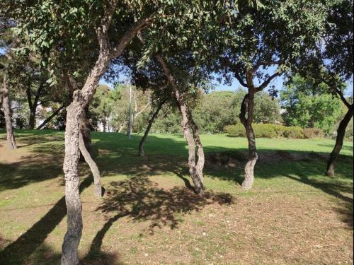 Apartment For Rent In Playa de Aro, 500 M From The Beach