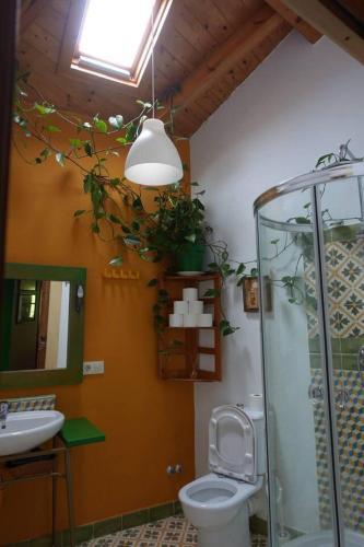 Beautiful And Quiet Contry House With Garden