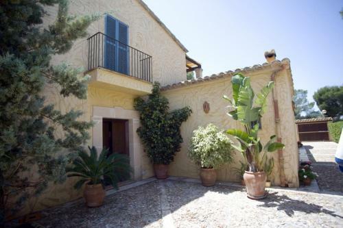 Villa Palma Paradise