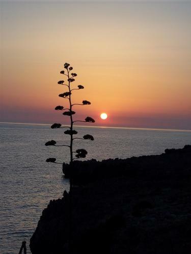 Bed & Breakfast Al Cantuccio