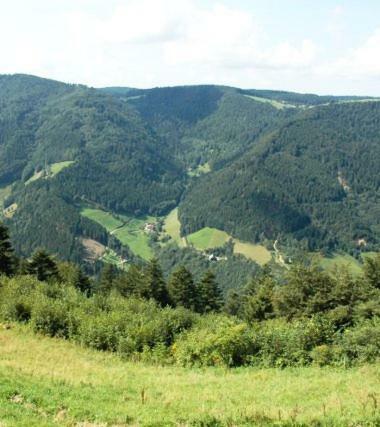 Apartamento Haldenschwarzhof